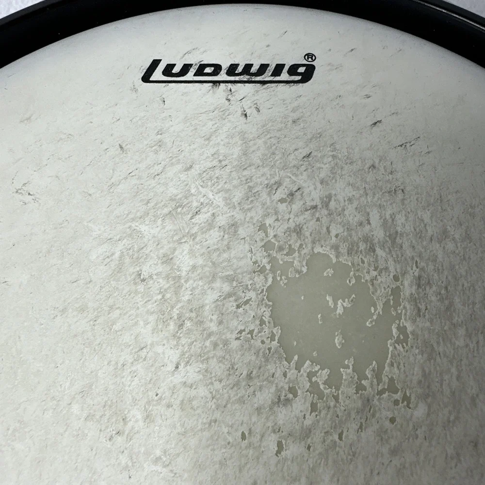 Ludwig Coated 8